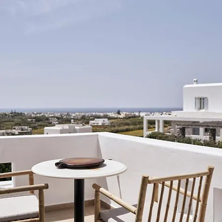 Luxury Naxos Elegant Air Conditioning Private Pool Willa